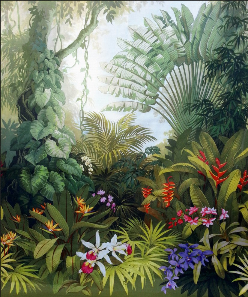 Lush Rainforest Wallpaper : Bird of Paradise and Orchids Mural - View 2