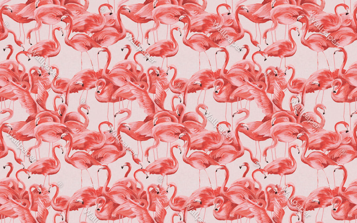 Pink Flamingos Wallpaper : Coral Flamingo Flock Mural - View 2