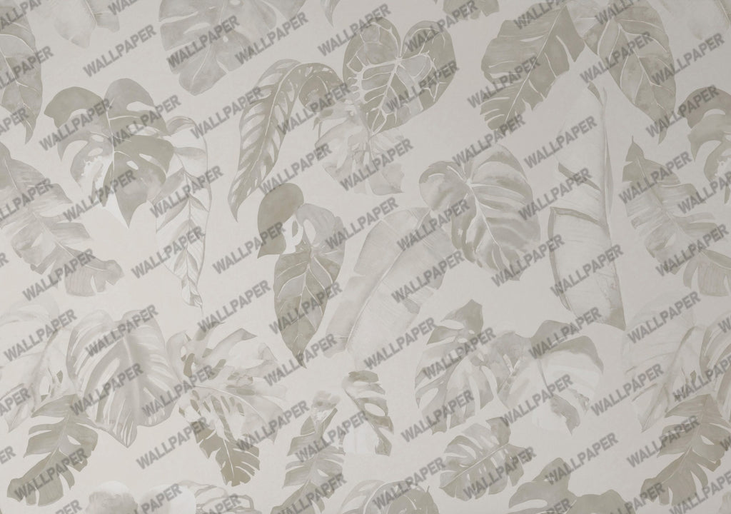 Grey Tropical Leaves Wallpaper : Soft Monstera Tonal Mural - flat design