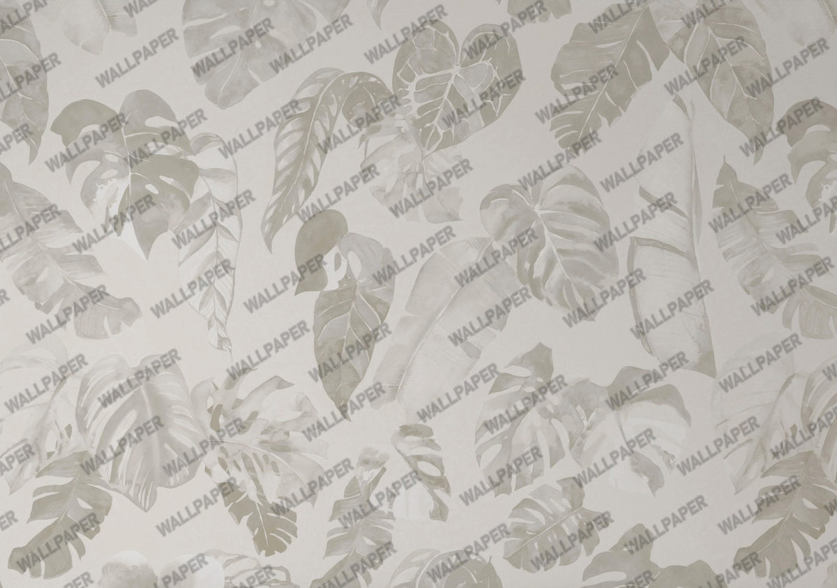 Grey Tropical Leaves Wallpaper : Soft Monstera Tonal Mural - flat design