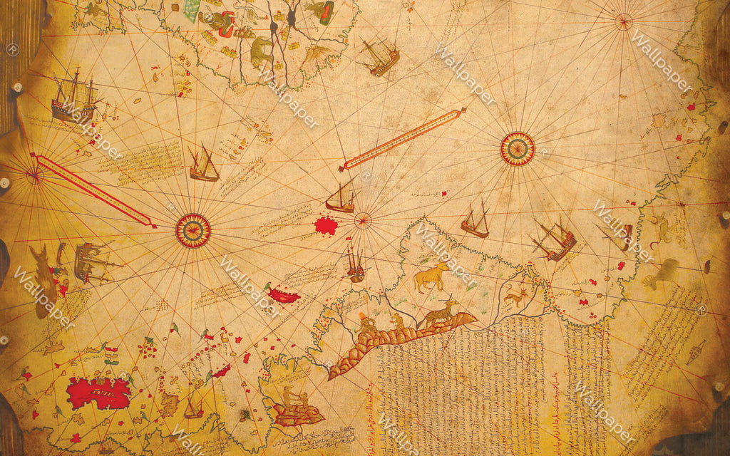 Piri Reis Map Wallpaper : Antique Ottoman World Map Mural - flat design