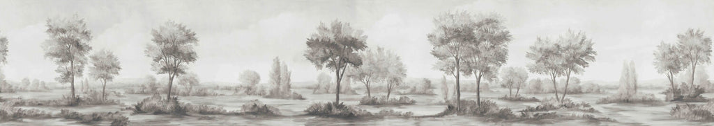 Grey Savanna Tree Wallpaper : Monochrome Acacia Landscape Mural - View 2