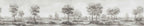 Grey Savanna Tree Wallpaper : Monochrome Acacia Landscape Mural - View 2