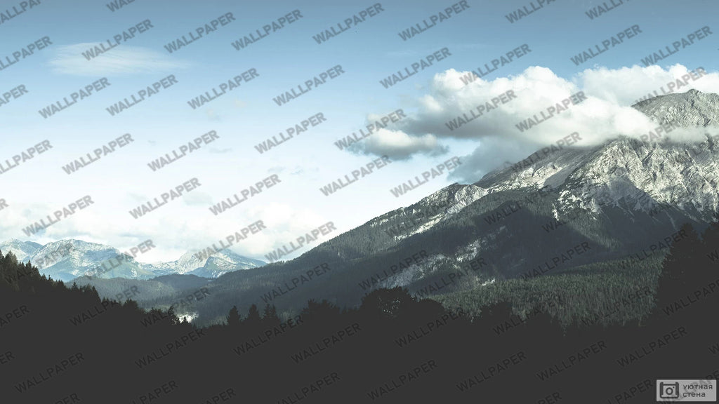 Mountain Forest Wallpaper : Pine Slopes and Clouds Mural - View 2