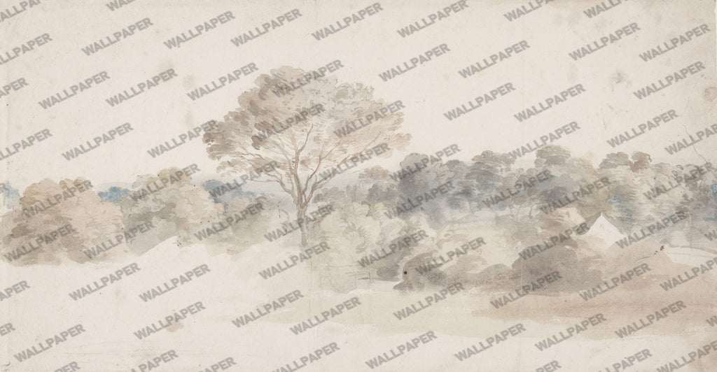 Beige Watercolor Forest Wallpaper : Soft Hazy Treeline Mural - View 2