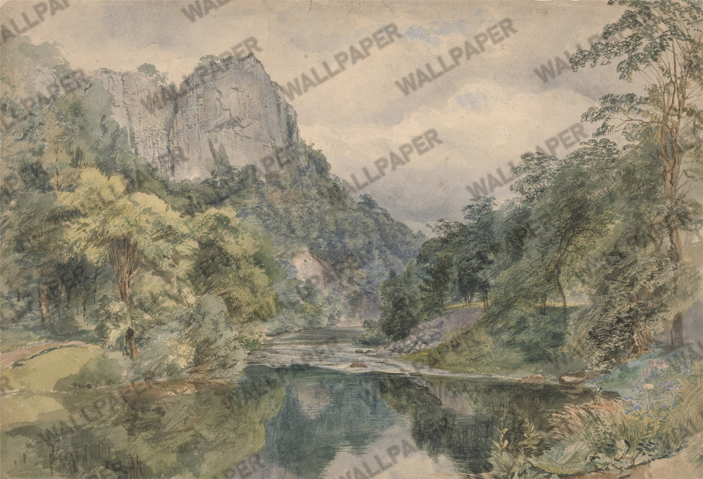 River Valley Forest Wallpaper : Painted Mountain Landscape Mural - flat design