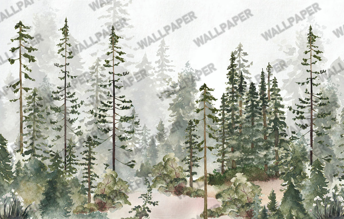 Watercolor Pine Forest Wallpaper : Misty Evergreen Mural - View 2