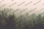 Misty Pine Forest Wallpaper : Foggy Evergreen Landscape Mural - View 2