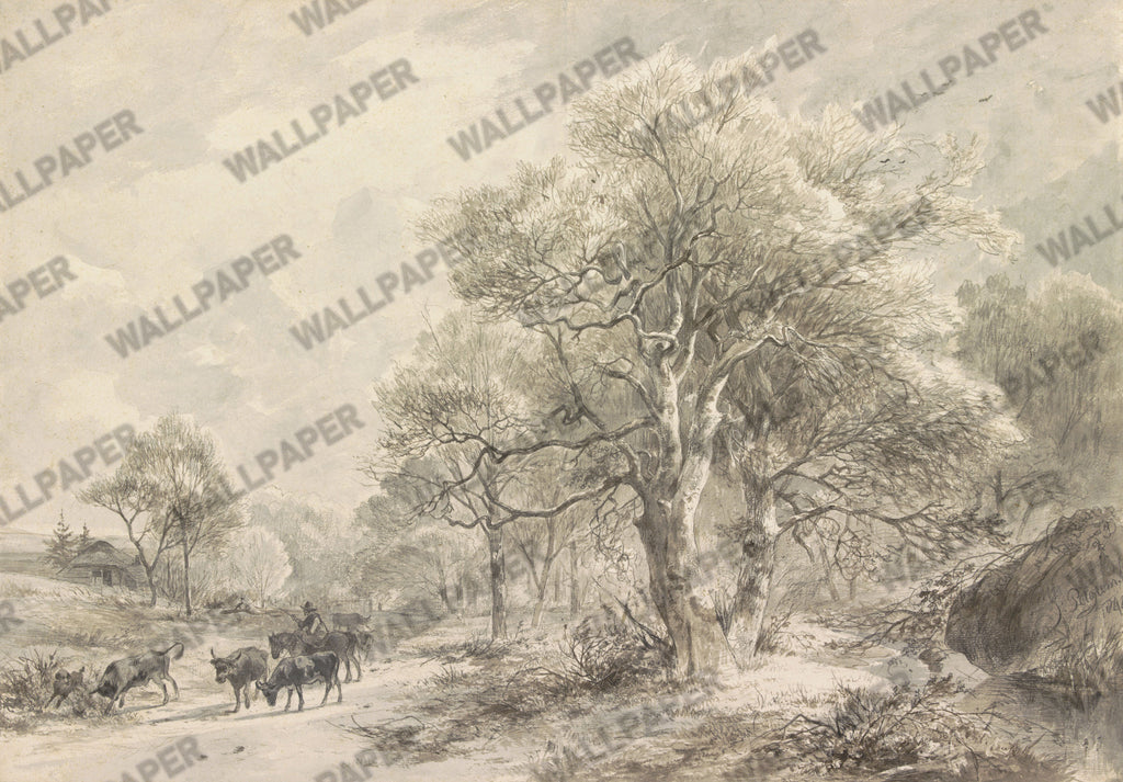 Vintage Branches Wallpaper : Sepia Countryside Forest Mural - View 2