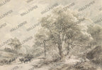 Vintage Branches Wallpaper : Sepia Countryside Forest Mural - View 2