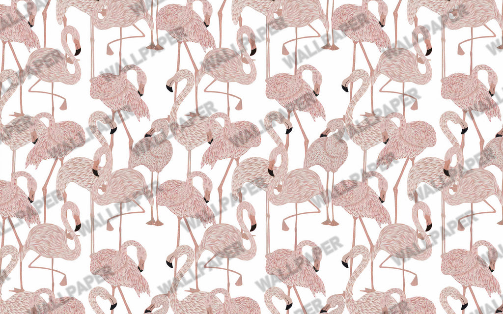 Pink Flamingo Wallpaper : Feathered Flamingo Pattern Mural - View 2