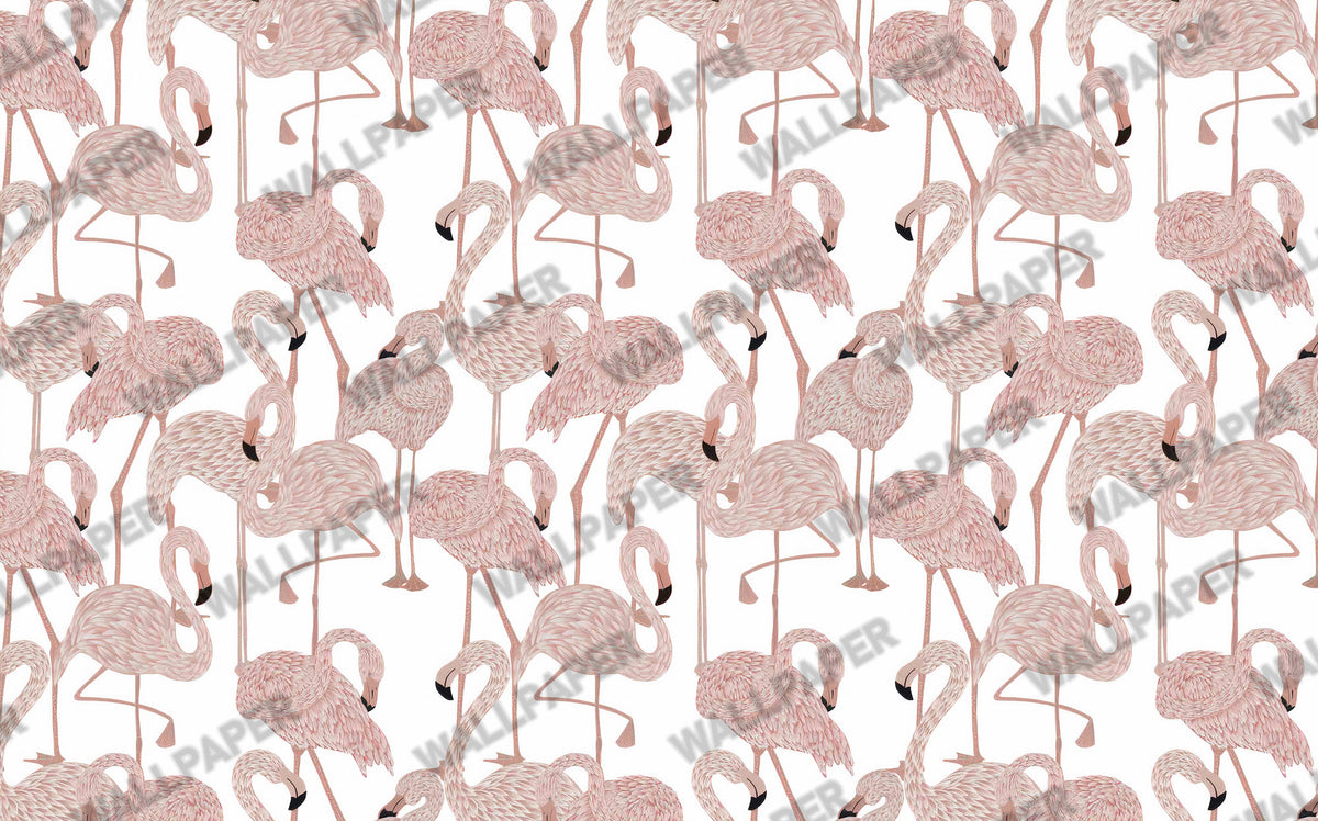 Pink Flamingo Wallpaper : Feathered Flamingo Pattern Mural - View 2