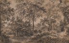 Charcoal Forest Wallpaper : Sepia Sketched Woodland Mural - View 2