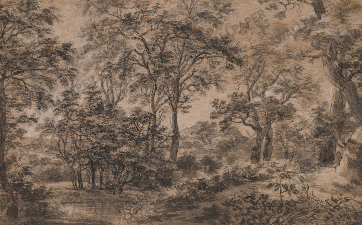Charcoal Forest Wallpaper : Sepia Sketched Woodland Mural - View 2