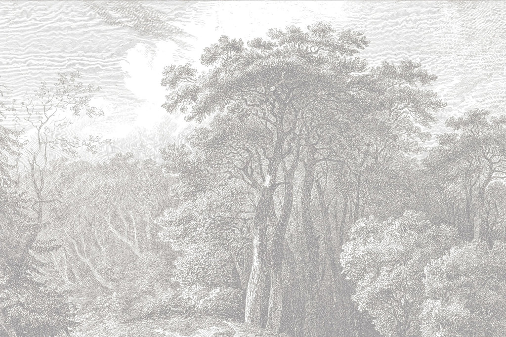 Engraved Forest Wallpaper : Grey Vintage Tree Landscape Mural - flat design