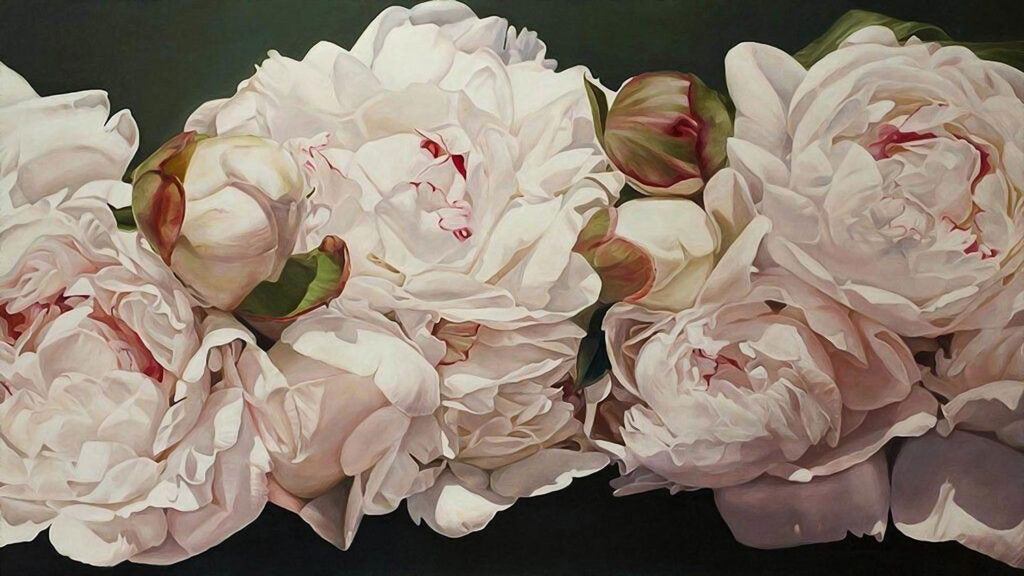 Large White Rose Wallpaper : Oversized Blush Petals Mural - View 2