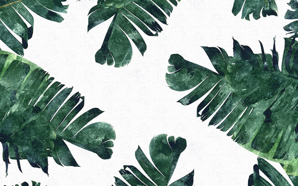 Green Tropical Leaf Wallpaper : Monstera Corner Accent Mural - View 2
