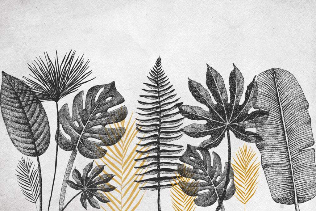 Black And White Leaf Wallpaper : Monstera And Fern Sketch Mural - View 2