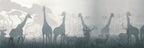 Giraffe Silhouette Wallpaper : Grey Safari Shadow Mural - View 2