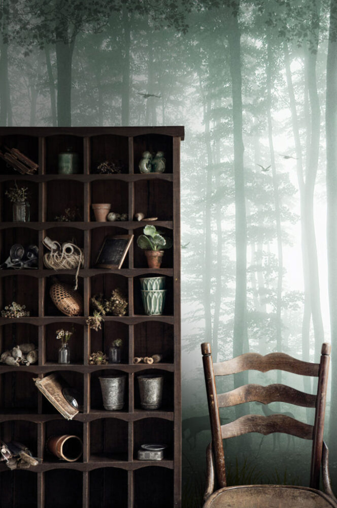 Misty Green Forest Wallpaper : Tall Trees In Fog Mural - View 5