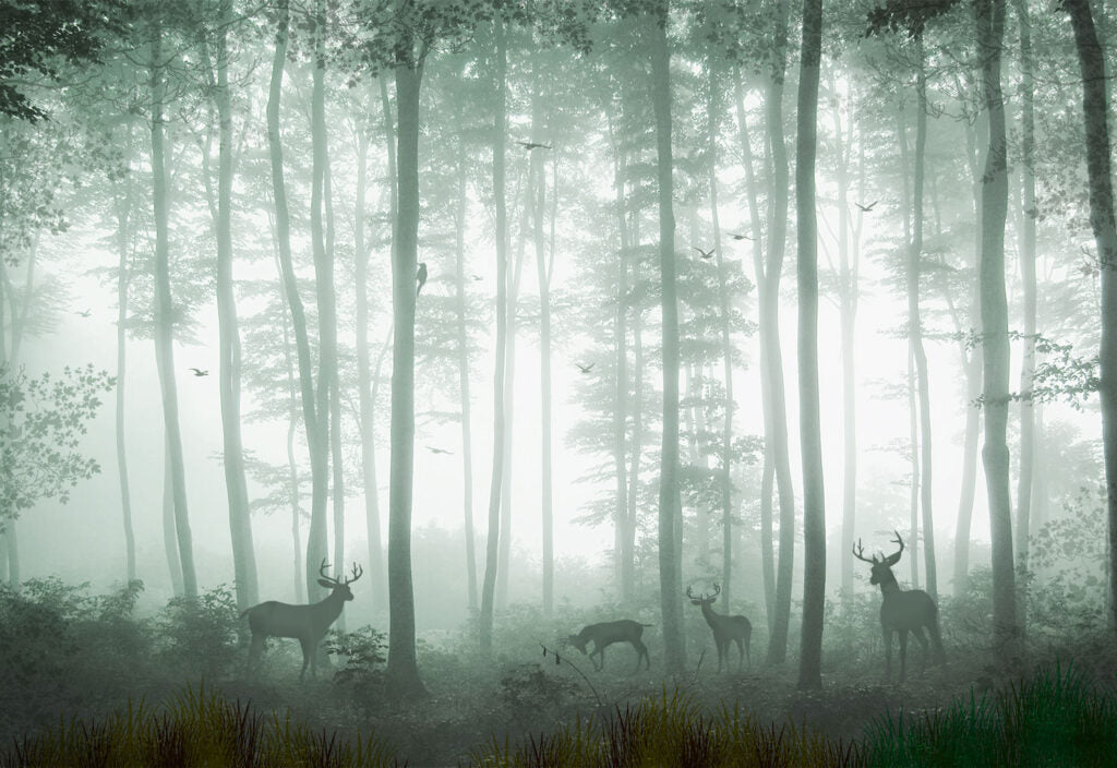 Misty Green Forest Wallpaper : Tall Trees In Fog Mural - View 2
