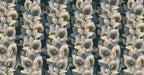 Dark Calla Lily Wallpaper : Moody Leaf Rows Mural - View 2