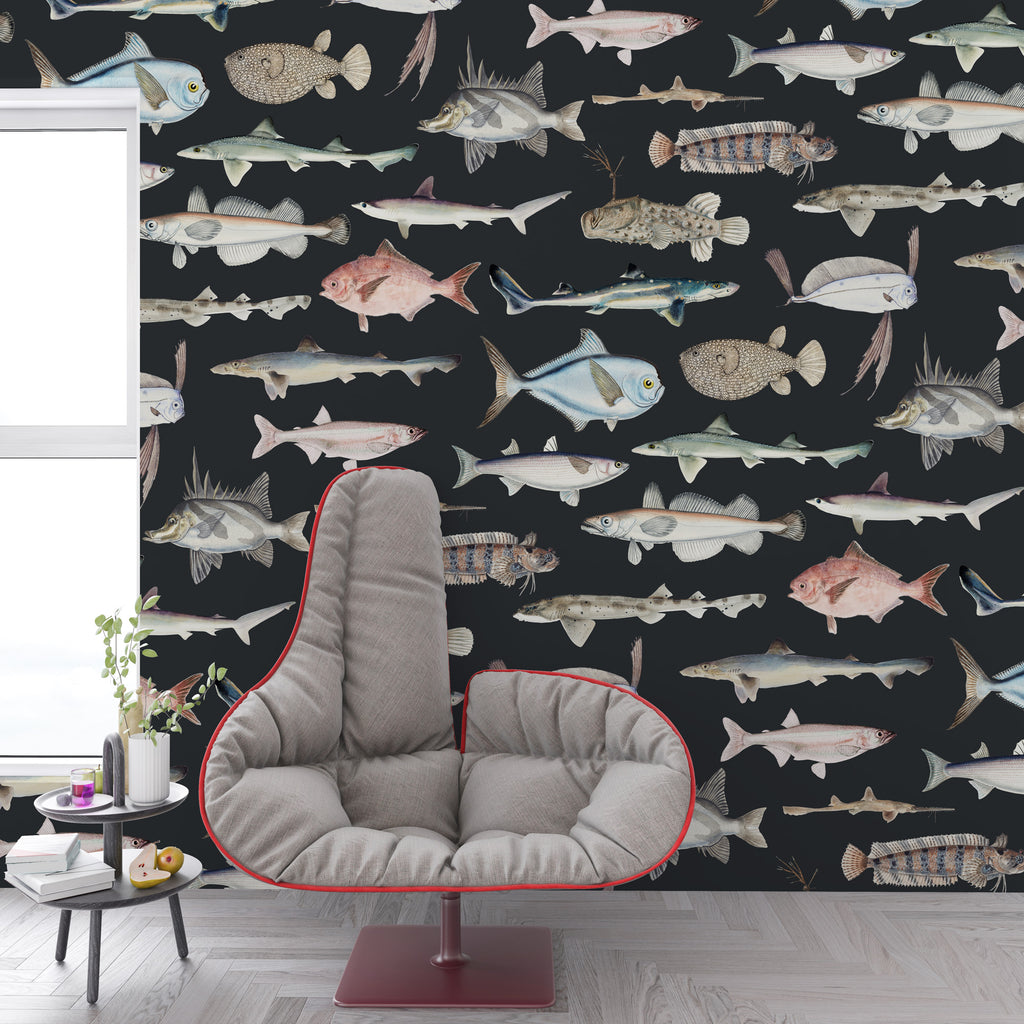 Vintage Fish Species Wallpaper : Sea Life Illustration Mural - View 3