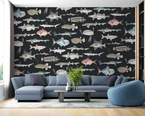 Vintage Fish Species Wallpaper : Sea Life Illustration Mural
