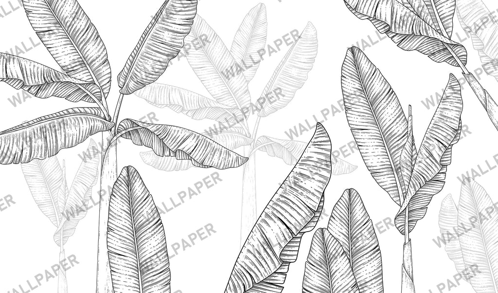 Black And White Banana Tree Wallpaper : Sketch Leaves Mural - flat design