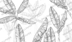 Black And White Banana Tree Wallpaper : Sketch Leaves Mural - flat design