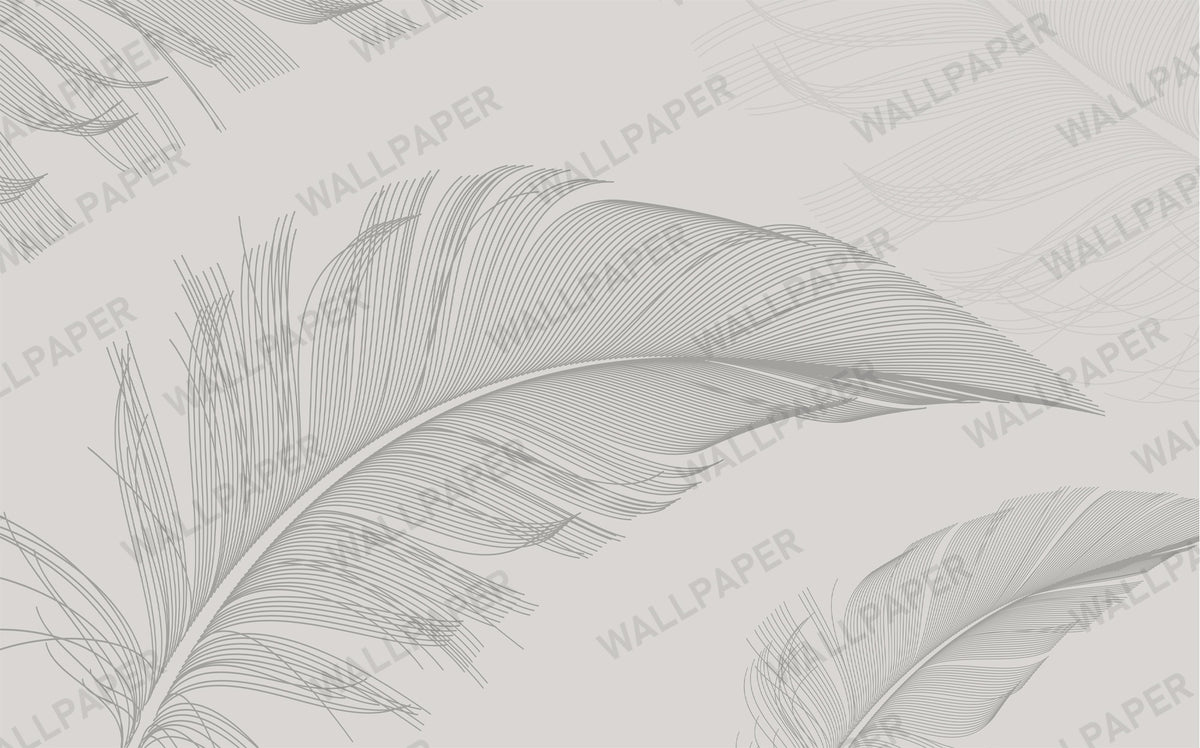 Soft Grey Feather Wallpaper : Minimal Feathers Mural - flat design
