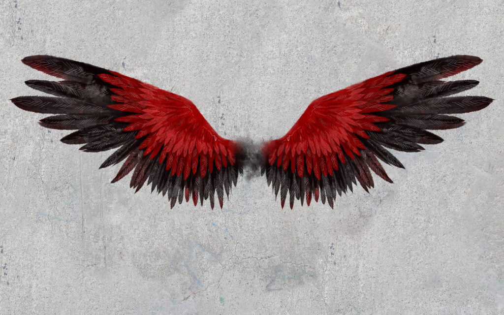 Red Angel Wings Wallpaper : Feathered Wings on Grey Concrete Mural - flat design