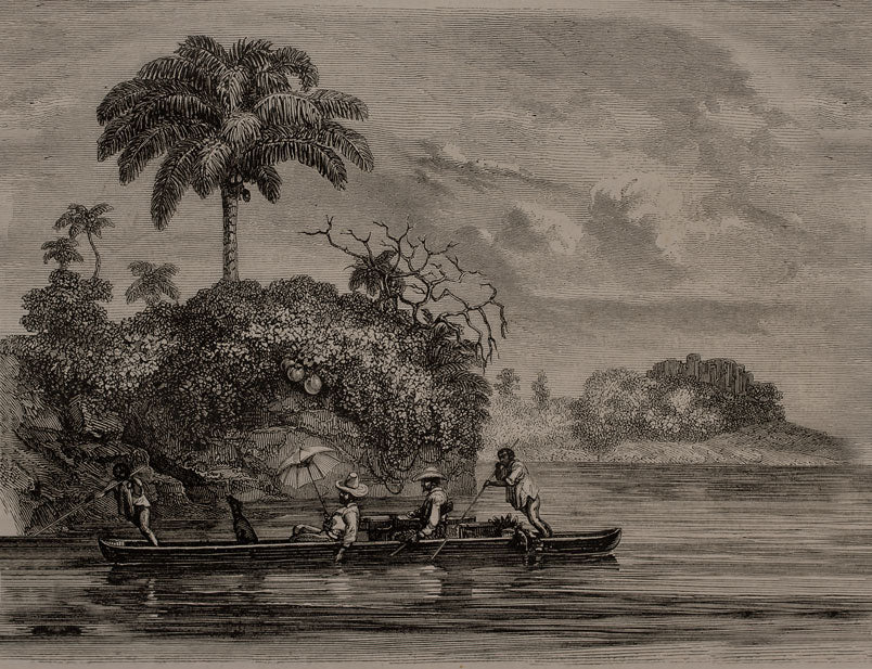 Vintage Engraving Wallpaper : Tropical River Canoe Sepia Mural - flat design