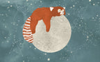 Red Panda Moon Wallpaper : Sleeping Animal Night Sky Mural - flat design