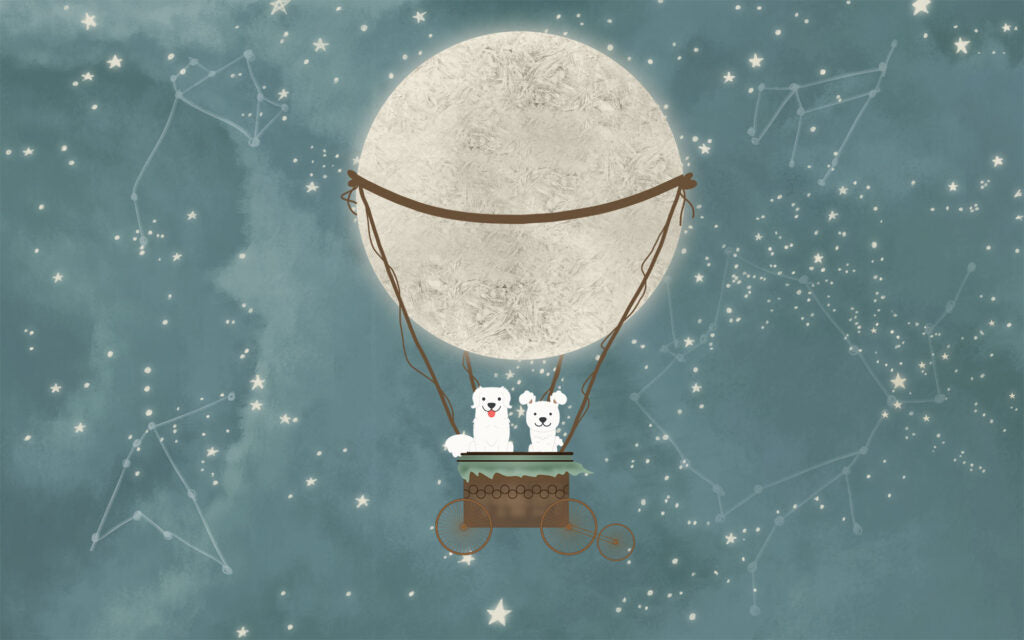 Puppy Balloon Wallpaper : Moon Hot Air Balloon Night Sky Mural - flat design