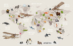 Safari World Map Wallpaper : Animals and Planes Kids Mural - flat design