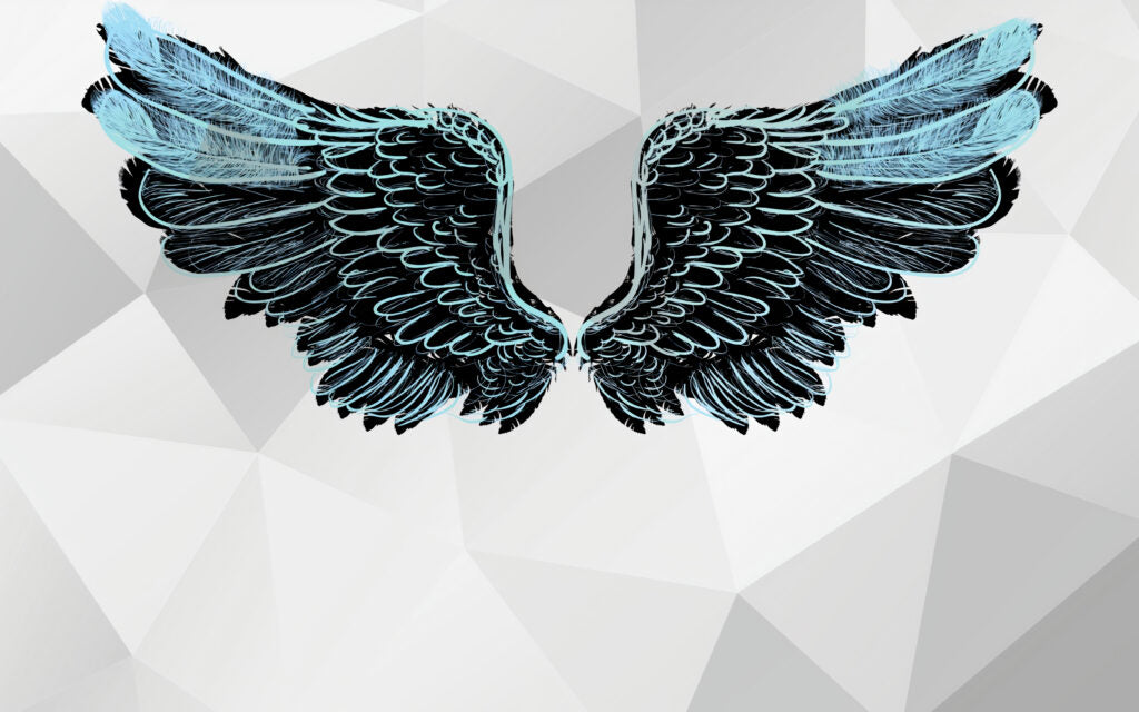 Black Angel Wings Wallpaper : Icy Blue Feather Mural - flat design