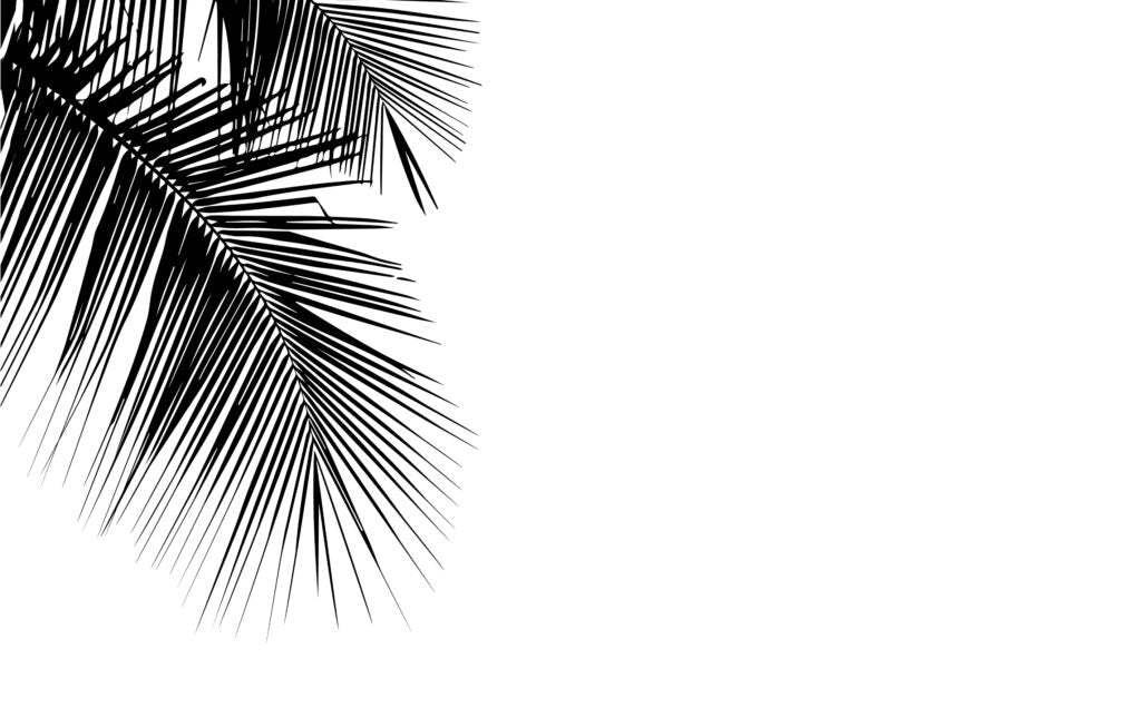 Palm Frond Wallpaper : Black and White Minimal Leaf Mural - flat design