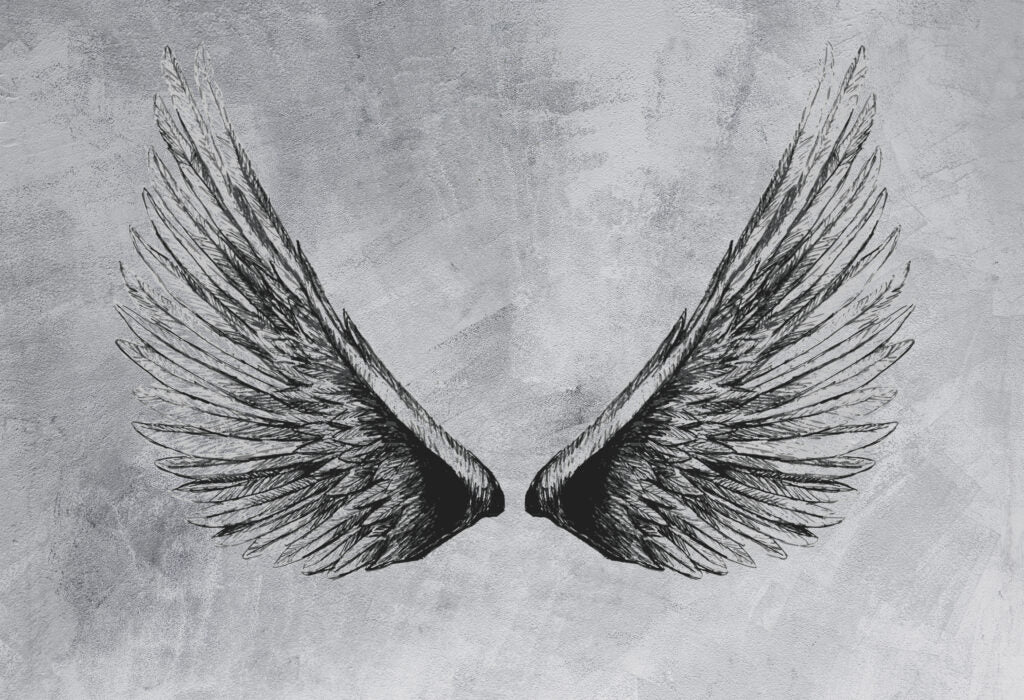Grey Wings Wallpaper : Black Feather Wings on Concrete Mural - flat design