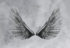 Grey Wings Wallpaper : Black Feather Wings on Concrete Mural - flat design