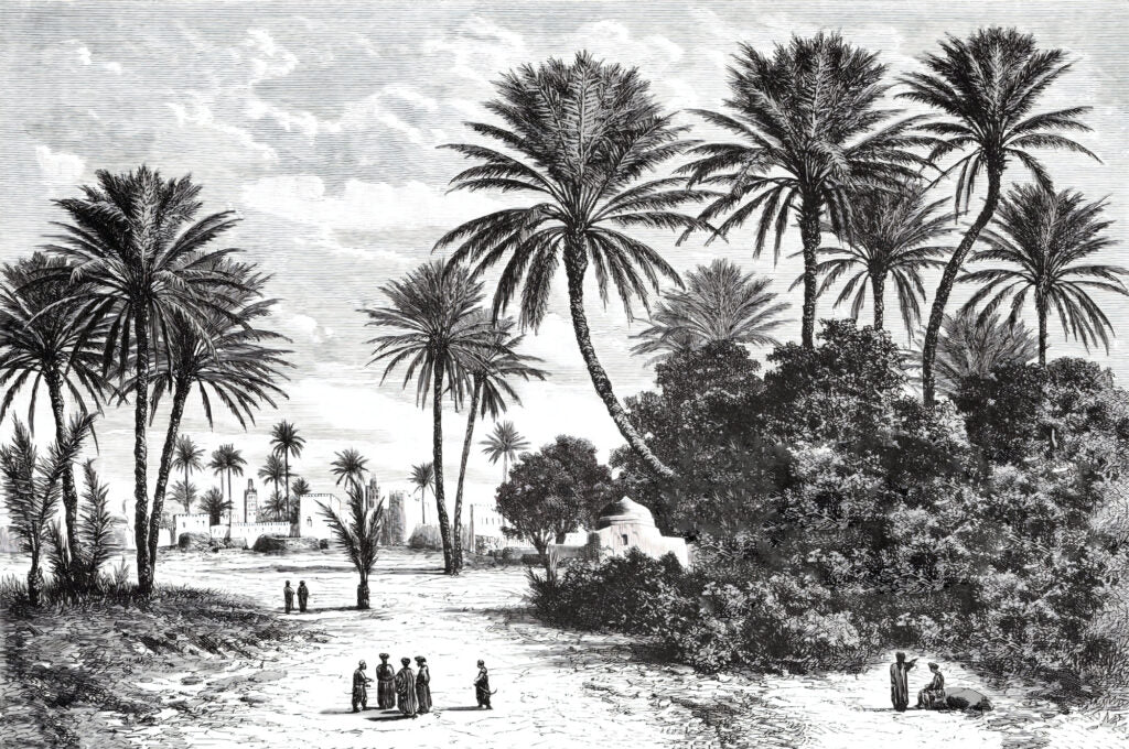 Black and White Palm Wallpaper : Vintage Engraved Beach Mural - flat design
