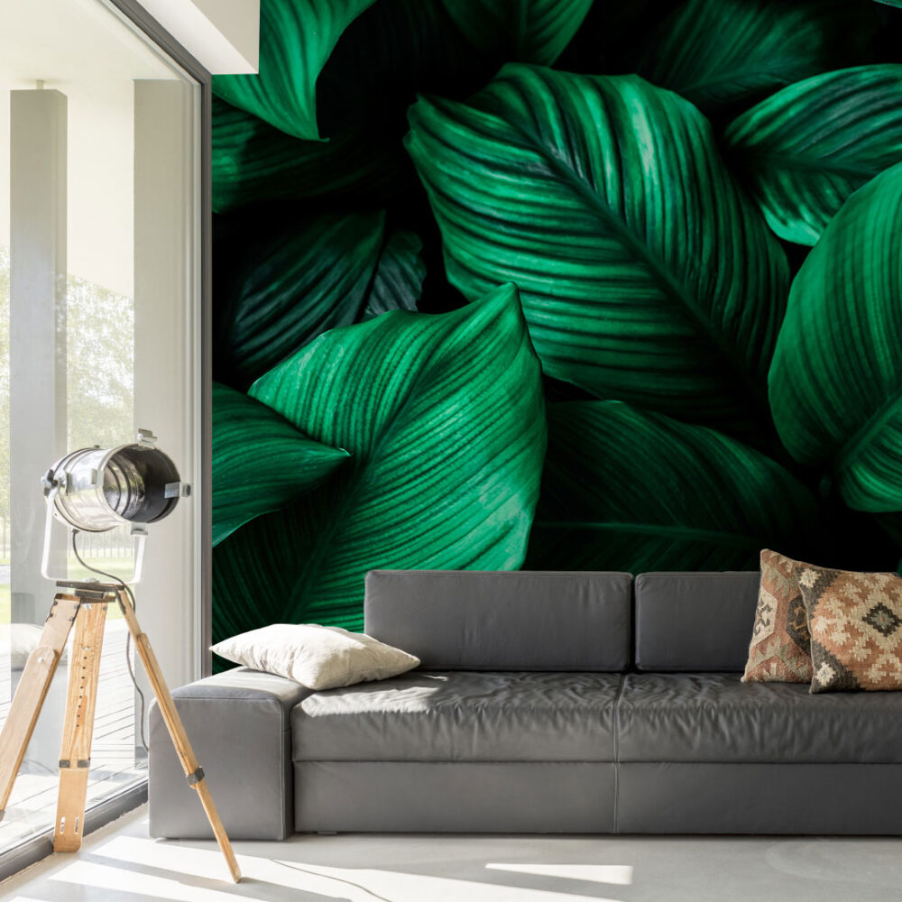 Emerald Leaf Wallpaper : Dark Green Tropical Foliage Mural