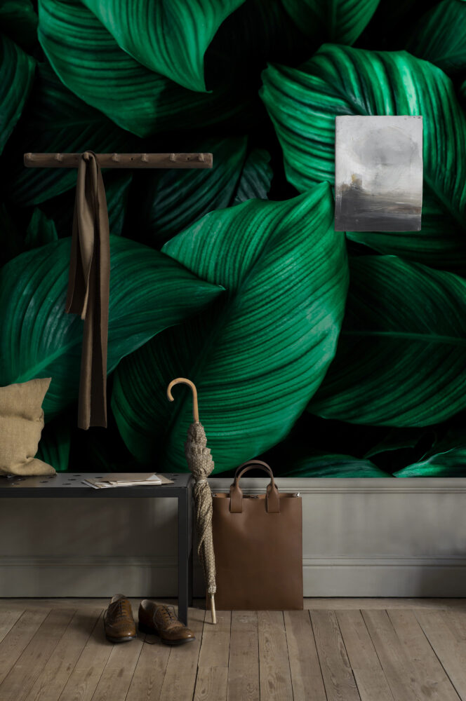 Emerald Leaf Wallpaper : Dark Green Tropical Foliage Mural - View 4