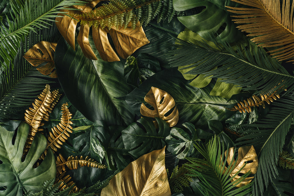 Gold Monstera Wallpaper : Dark Green Tropical Mural - View 2