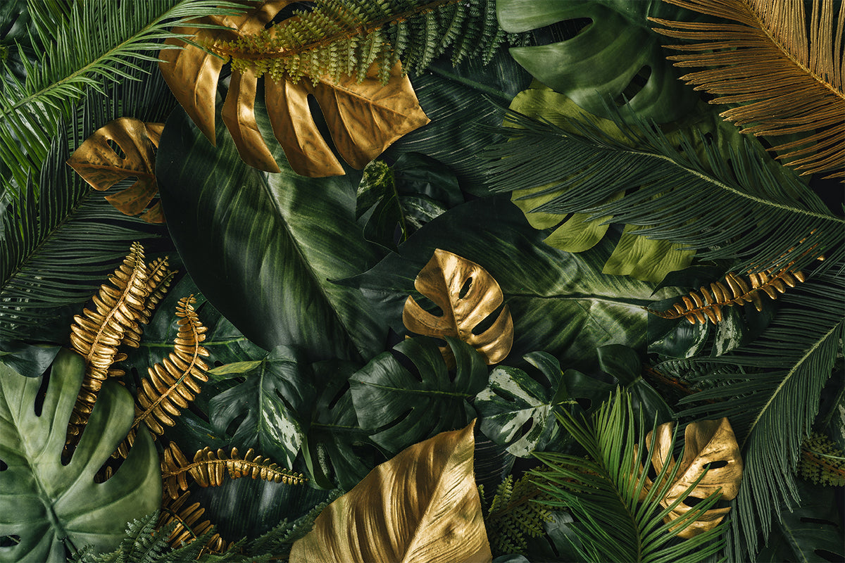 Gold Monstera Wallpaper : Dark Green Tropical Mural - View 2