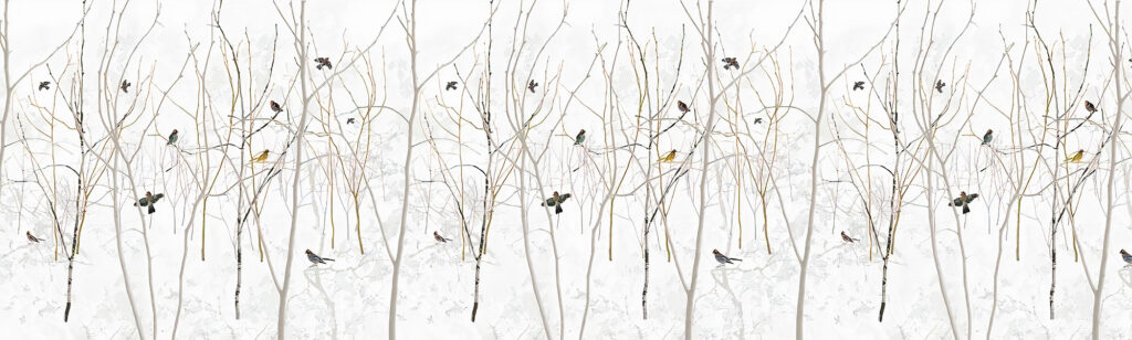 Bare Branch Wallpaper : Birds On Winter Twigs Mural - View 2
