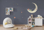 Sleeping Moon Child Wallpaper : Night Sky Stars Mural