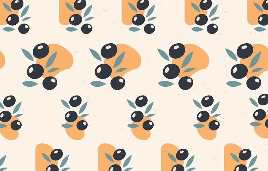 Olive Branch Wallpaper : Black Olives and Orange Pattern - flat design