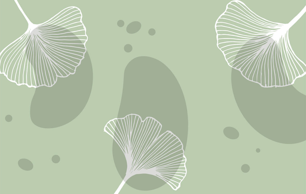 Sage Ginkgo Wallpaper : Line Art Ginkgo Leaves Mural - flat design