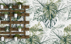 Green Monstera Sketch Wallpaper : Tropical Leaves Pattern